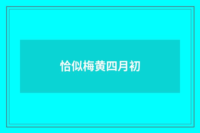 恰似梅黄四月初