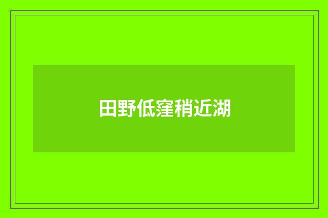 田野低窪稍近湖