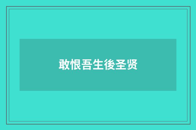 敢恨吾生後圣贤