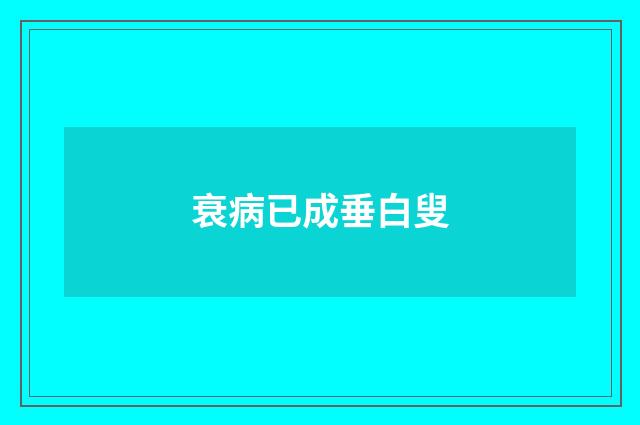 衰病已成垂白叟