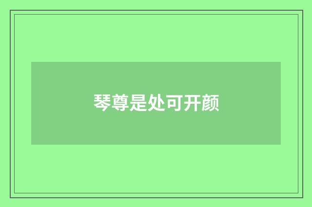 琴尊是处可开颜