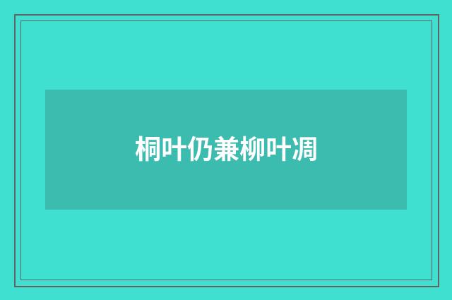 桐叶仍兼柳叶凋