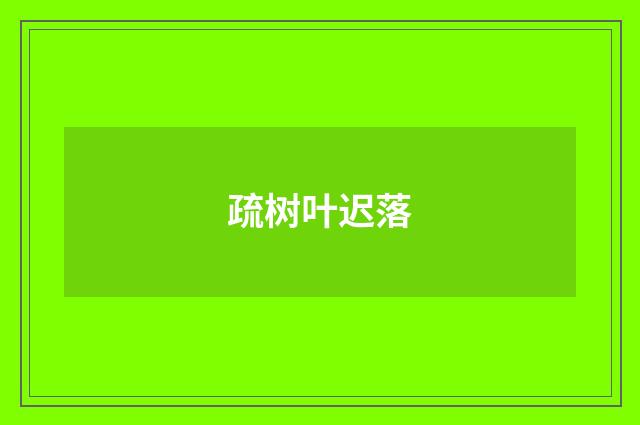 疏树叶迟落