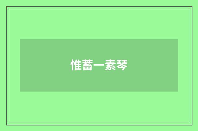 惟蓄一素琴