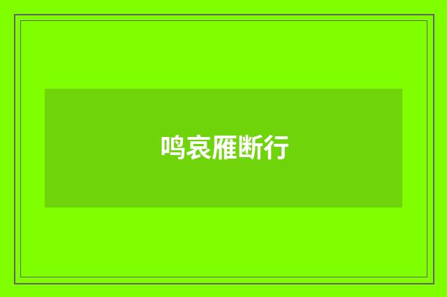 鸣哀雁断行