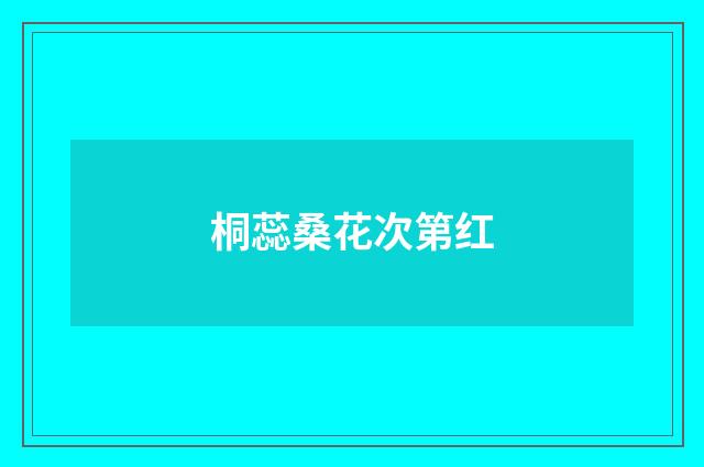 桐蕊桑花次第红