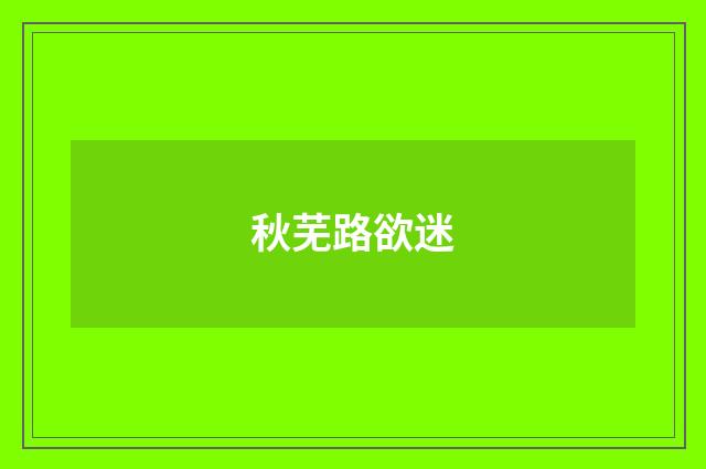 秋芜路欲迷