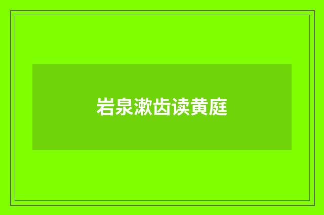 岩泉漱齿读黄庭
