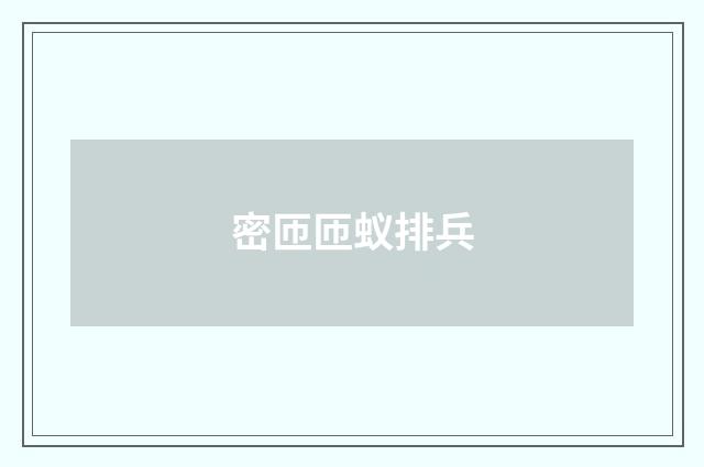 密匝匝蚁排兵