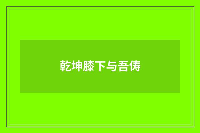 乾坤膝下与吾俦