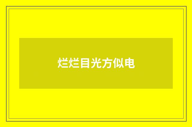 烂烂目光方似电