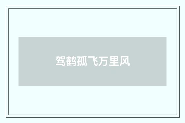 驾鹤孤飞万里风