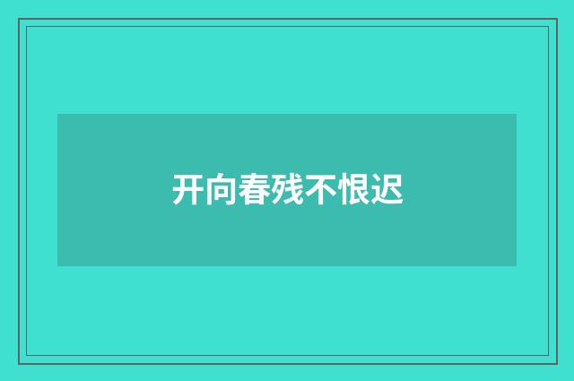 开向春残不恨迟
