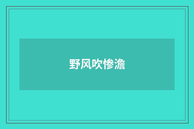 野风吹惨澹