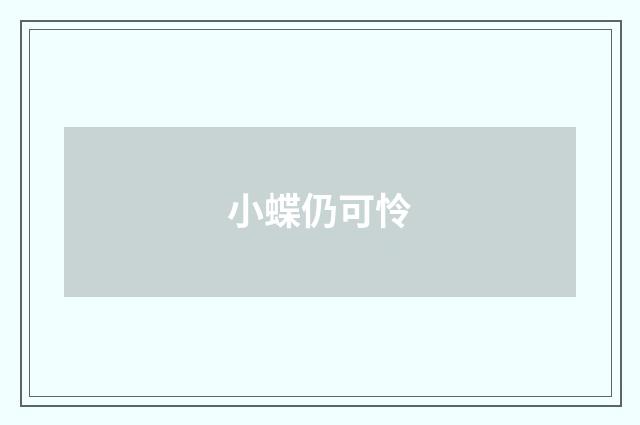小蝶仍可怜