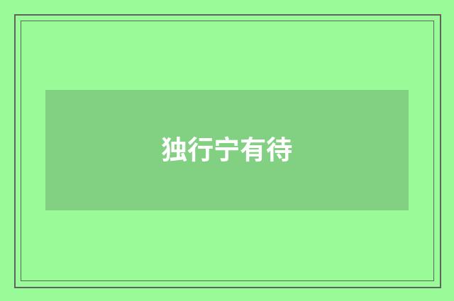 独行宁有待