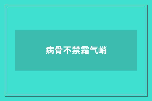 病骨不禁霜气峭