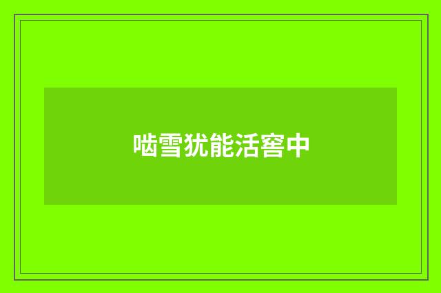 啮雪犹能活窖中