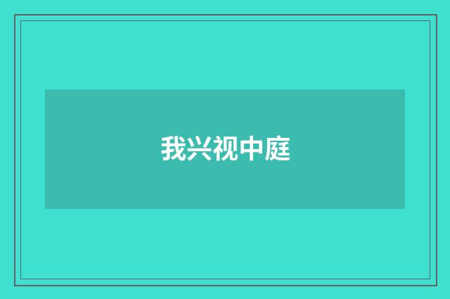 我兴视中庭