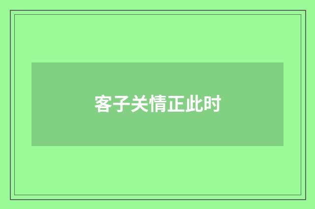 客子关情正此时