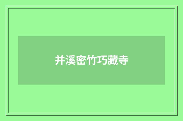 并溪密竹巧藏寺