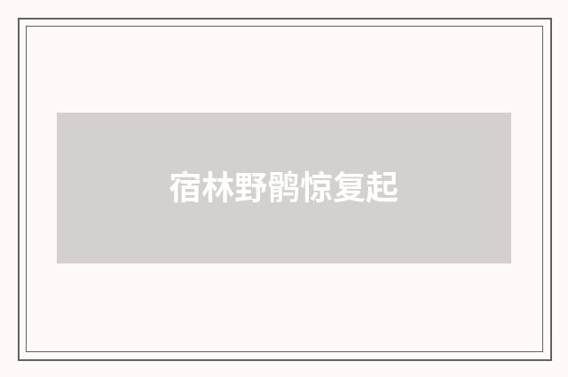 宿林野鹘惊复起
