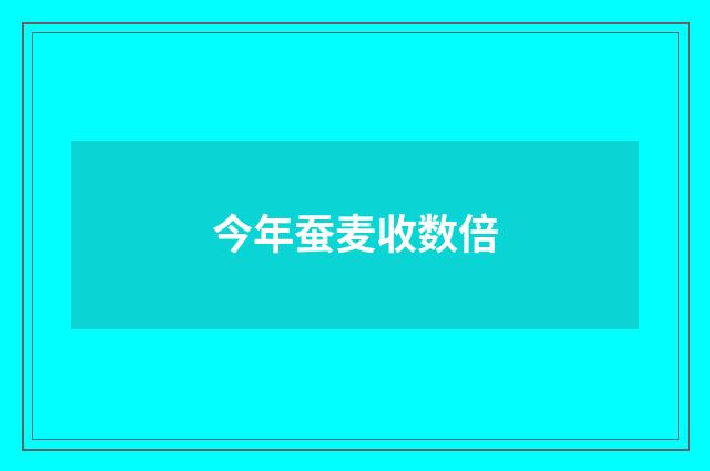 今年蚕麦收数倍