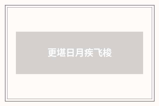 更堪日月疾飞梭