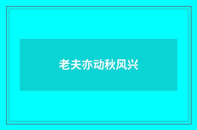 老夫亦动秋风兴