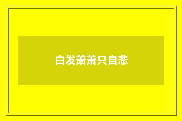 白发萧萧只自悲
