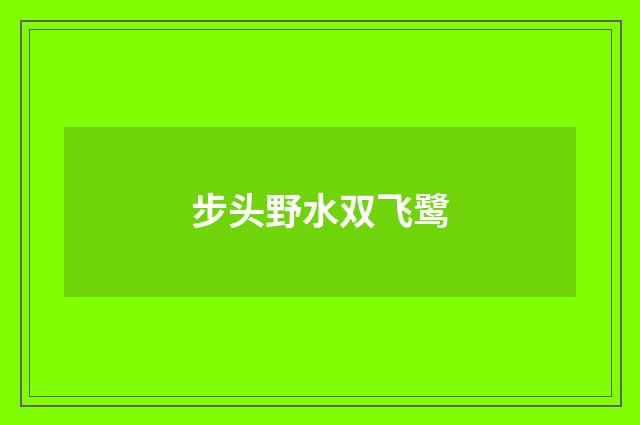步头野水双飞鹭