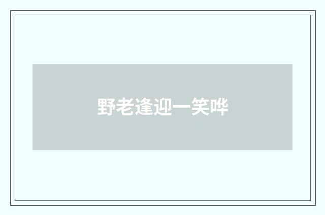 野老逢迎一笑哗