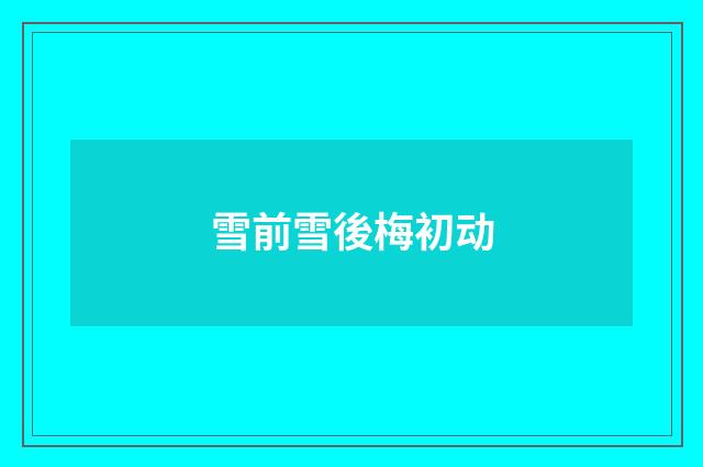 雪前雪後梅初动