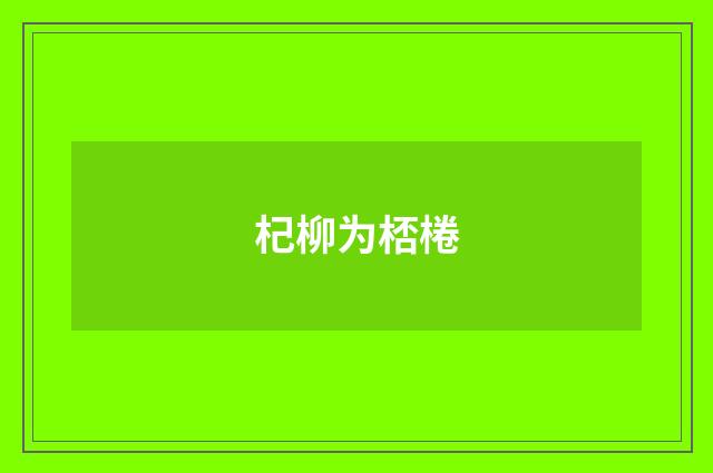 杞柳为桮棬