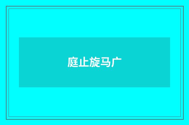 庭止旋马广