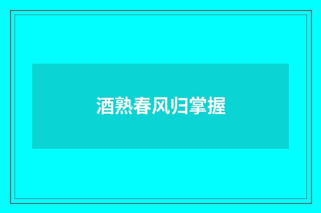 酒熟春风归掌握