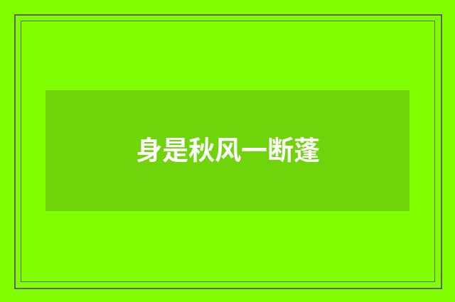 身是秋风一断蓬