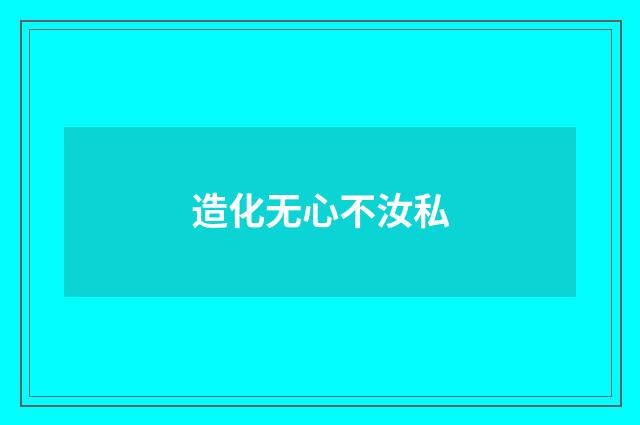 造化无心不汝私