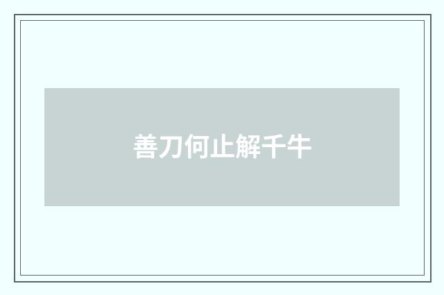 善刀何止解千牛