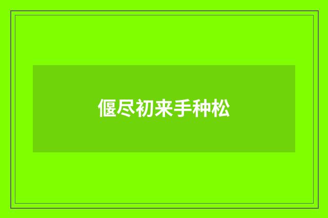 偃尽初来手种松