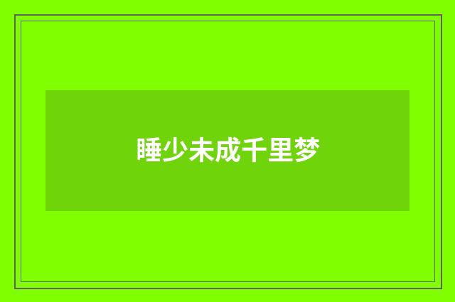 睡少未成千里梦