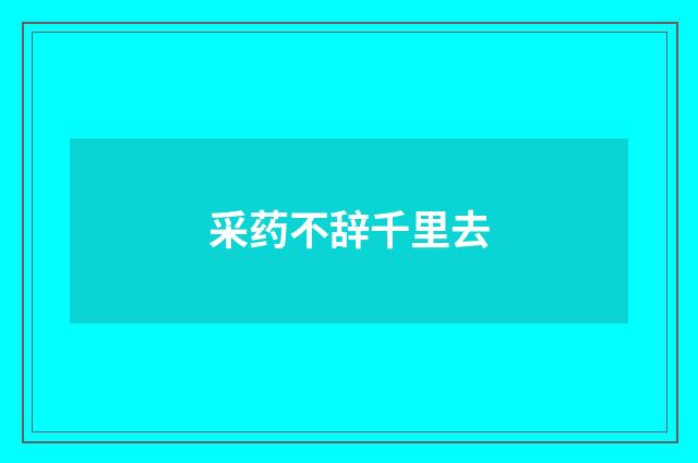 采药不辞千里去