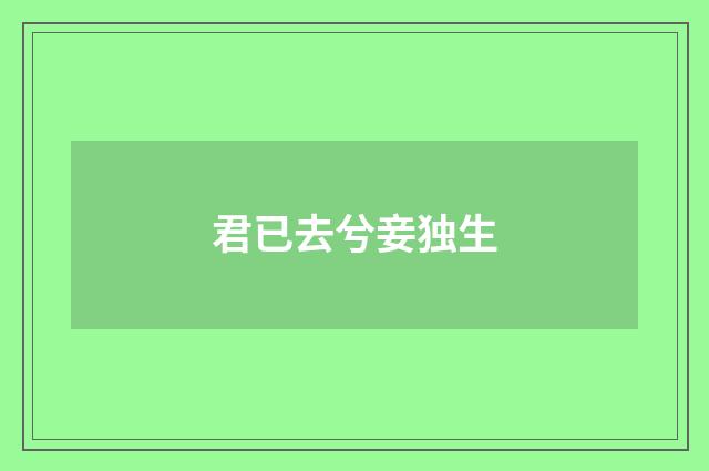 君已去兮妾独生