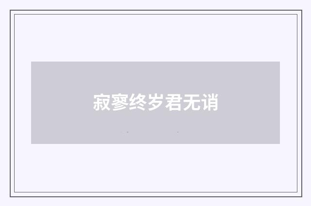 寂寥终岁君无诮