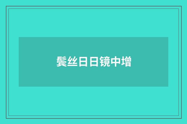 鬓丝日日镜中增