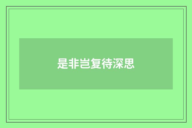 是非岂复待深思