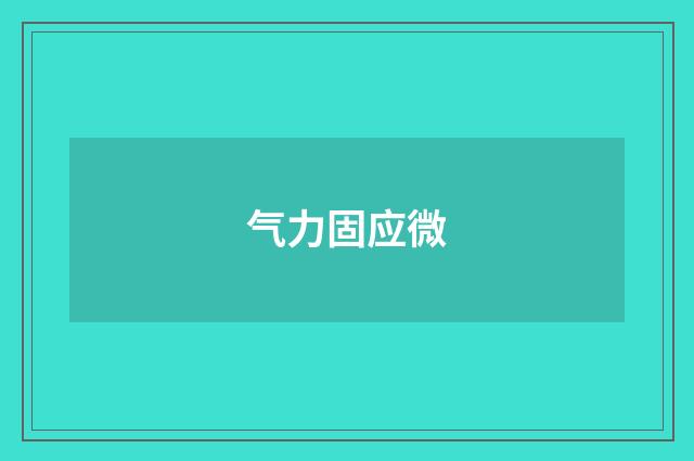 气力固应微