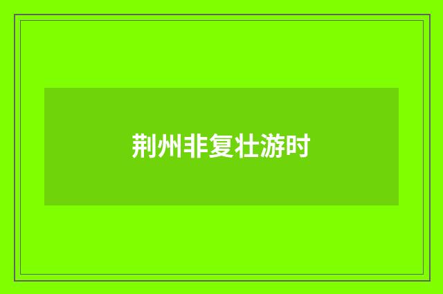 荆州非复壮游时