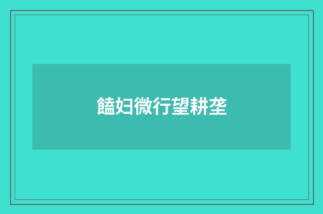 饁妇微行望耕垄