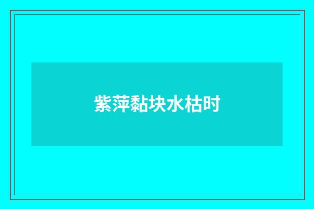 紫萍黏块水枯时